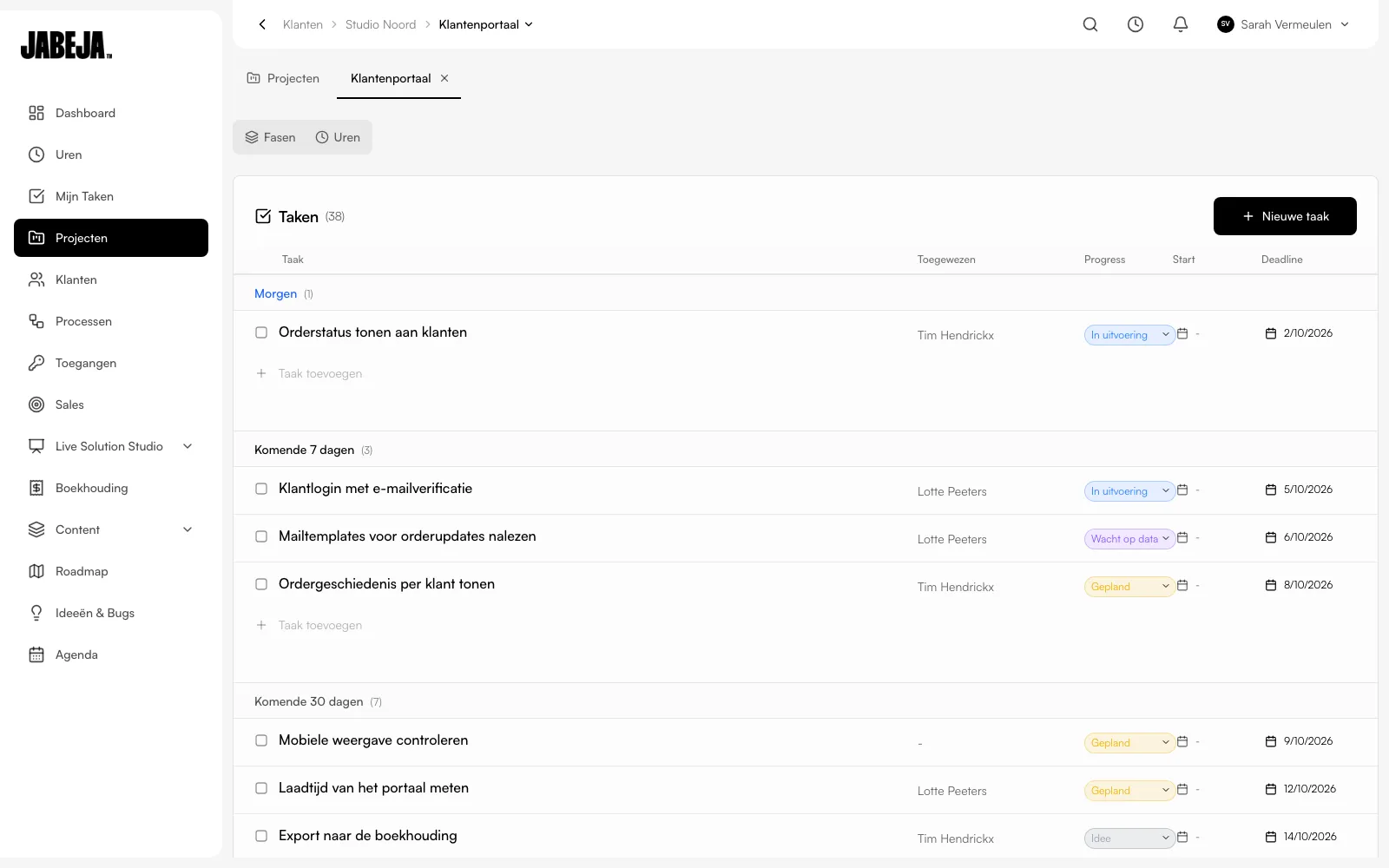 Task list for the fictitious Client Portal project in Hubigen Admin, with tasks, assignees, progress status and deadlines